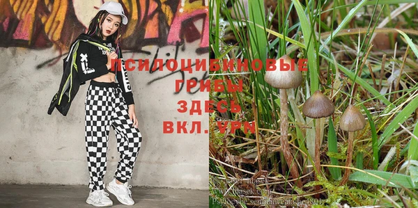 мяу мяу кристалл Магадан