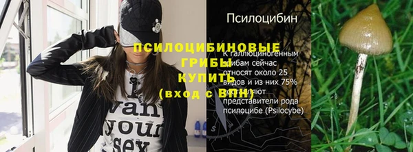 крисы Майский